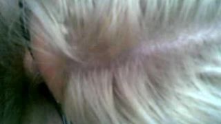 Дешёвая проститутка делает профессиональный отсос хуя в кустах